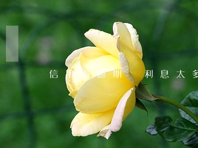 信用卡逾期 利息太多 信用卡逾期 利息太多